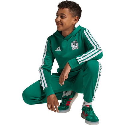adidas Mexico Youth DNA Hoodie